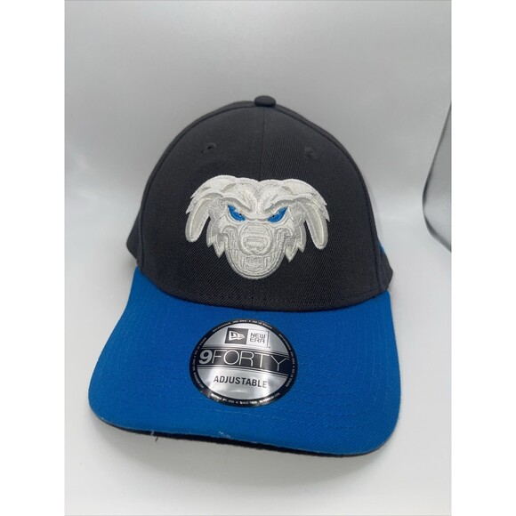 New Era Lake Elsinore Storm Cadejos 9Forty Adjustable Hat On Gray & Blue New - Picture 2 of 10